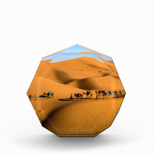 camels on desert under blue sky photo block