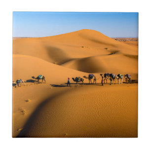 camels on desert under blue sky tile