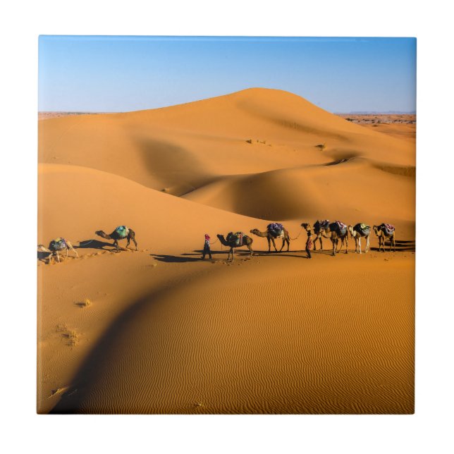 camels on desert under blue sky tile (Front)