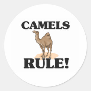 CAMELS Rule! Classic Round Sticker