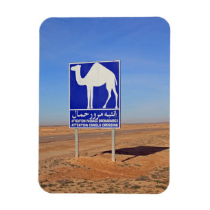 Camels sign, Tunisia Magnet