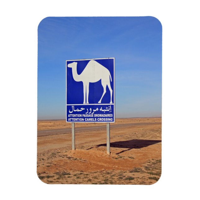 Camels sign, Tunisia Magnet (Vertical)