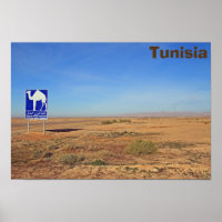 Camels sign, Tunisia
