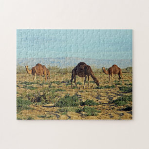 Camels, Tunisia 252-pc Jigsaw Puzzle