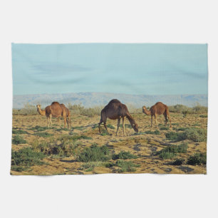 Camels, Tunisia Kitchen Towel