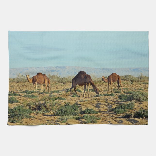 Camels, Tunisia Kitchen Towel (Horizontal)