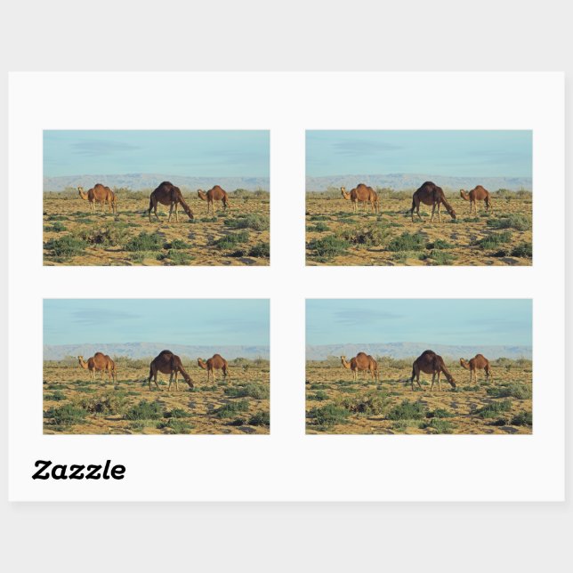 Camels, Tunisia Sticker (Sheet)