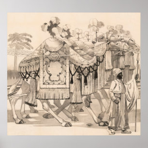 Camels Walking Dressed In Costume Poster