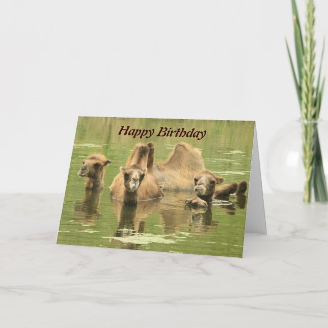 Camels Yum Card (Front)