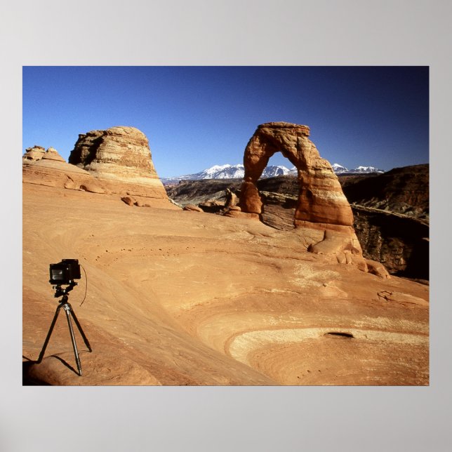 Camera-Worthy View Poster (Front)