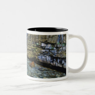 Cameron Falls in Waterton Lakes National Park in 2 Two-Tone Coffee Mug