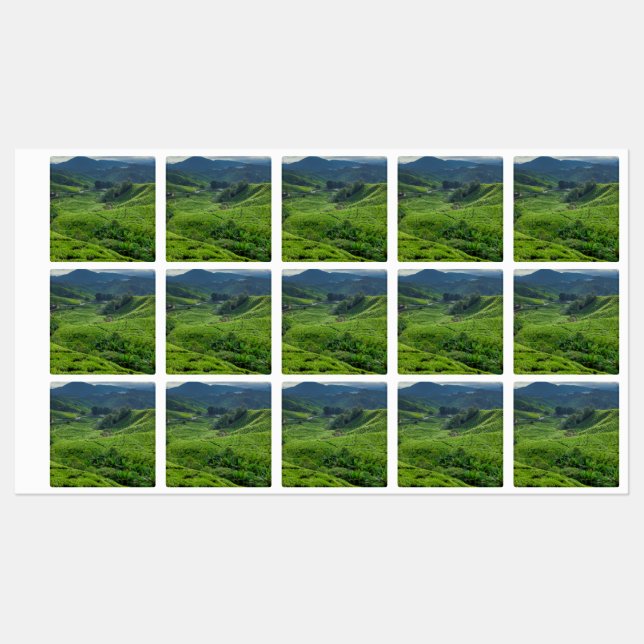 Cameron Highlands Tea Plantation (Sheet)