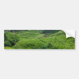 Cameron Highlands Tea Plantation Bumper Sticker