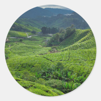 Cameron Highlands Tea Plantation Classic Round Sticker
