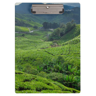 Cameron Highlands Tea Plantation Clipboard