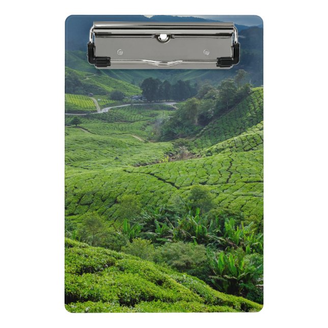 Cameron Highlands Tea Plantation Mini Clipboard (Front)