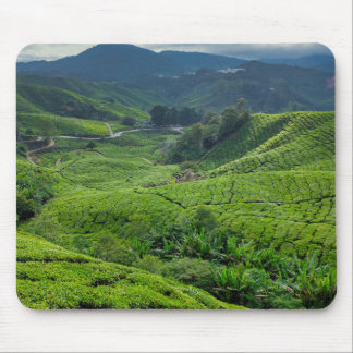 Cameron Highlands Tea Plantation Mouse Pad