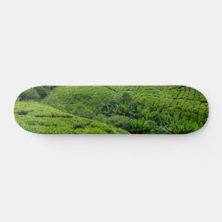 Cameron Highlands Tea Plantation Skateboard