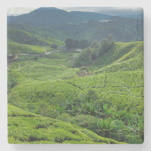 Cameron Highlands Tea Plantation Stone Coaster