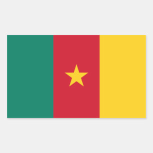 Cameroon/Cameroonian Flag Sticker