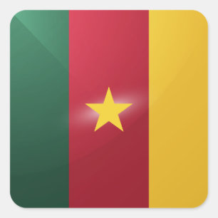 Cameroon square glossy flag square sticker