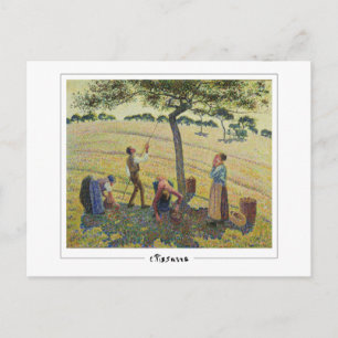 Camille Pissarro #214-2 - Carte postale d'art