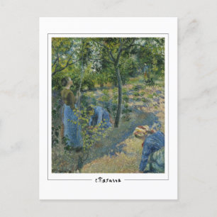 Camille Pissarro #30 - Carte postale Art
