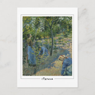 Camille Pissarro #30 - Carte postale d'art