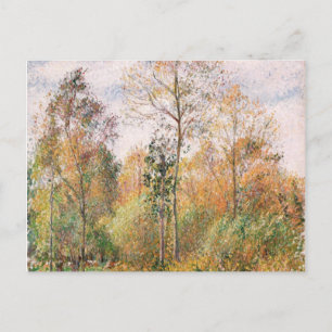 Camille Pissarro - Autumn, Poplars, Eragny Postcard