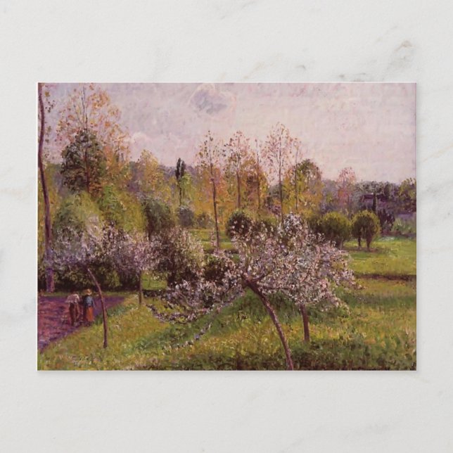 Camille Pissarro- Flowering Apple Trees, Eragny Postcard (Front)