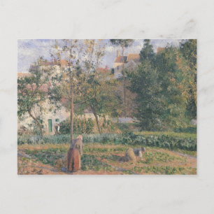 Camille Pissarro Vegetable Garden at the Hermita Postcard