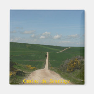 Camino de Santiago Magnet