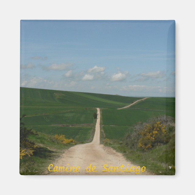 Camino de Santiago Magnet (Front)