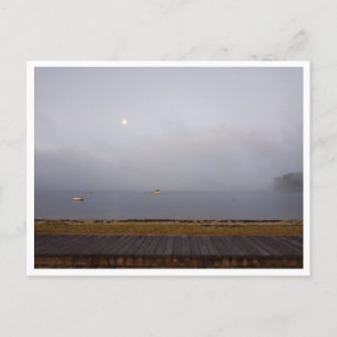 Camino de Santiago Portugues (Spain) Postcard