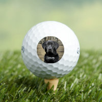 Camo Black Lab Dog Breed Animal Name