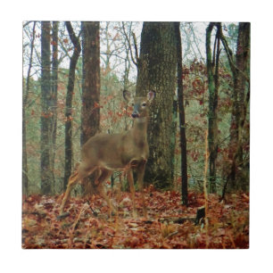Camo,Camouflage Deer Tile