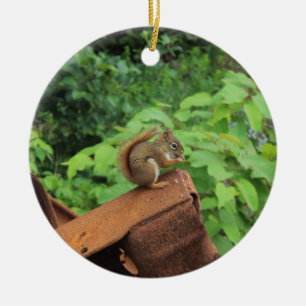 Camo Squirrel Ceramic Ornament