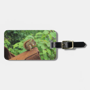 Camo Squirrel Luggage Tag