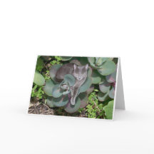 Camouflage