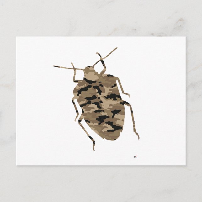 Camouflage Cockroach Silhouette Postcard (Front)