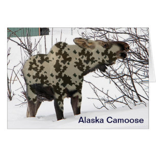 Camouflage Moose (Camoose)
