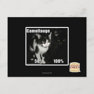 Camouflage Postcard