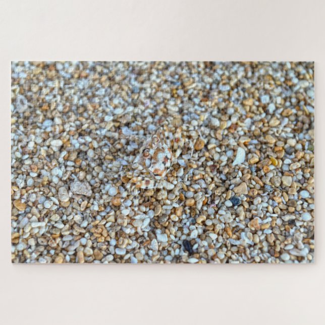 Camouflaged Ghost Crab on a Kauai Beach, Hawaii Jigsaw Puzzle (Horizontal)
