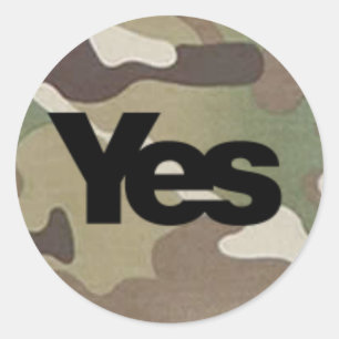 Camouglage Oui Sticker