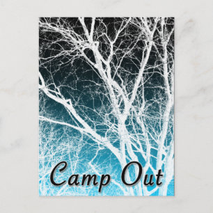 Camp Out Ghost Tree Postcard