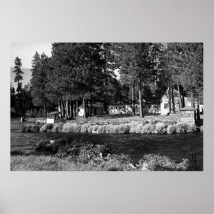 Camp Sherman, Oregon view of Rogers Cabins Poster