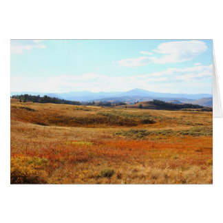 Campagne auburn de Yellowstone