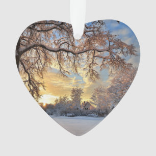 Campagne D'Hiver En Lettonie