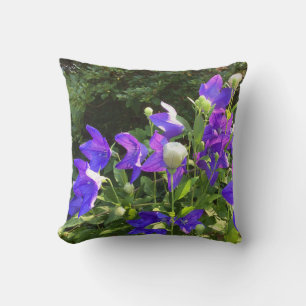 Campanula Cluster (Blue Balloon Flowers) --- Throw Pillow