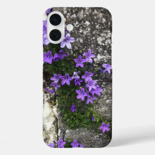 Campanula Flowers Growing on a Wall iPhone 16 Plus Case